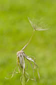 tkm001_808408