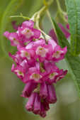 tkm001_809039