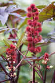 tkm001_809299