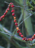 tkm001_809901