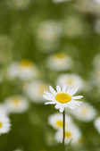 tkm001_810577