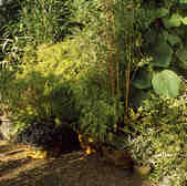 tkm001_811056