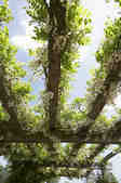 tkm001_811778