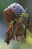 tkm001_812572