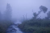 tkm001_817977