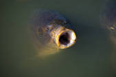 tkm001_818822
