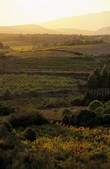tkm001_820123