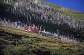tkm001_821507
