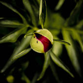 tkm001_851758