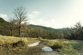 tkm001_852440