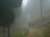 tkm001_866616