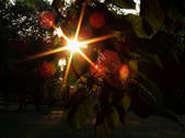 tkm001_874902