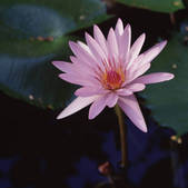 tkm001_882846