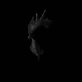 tkm001_883800