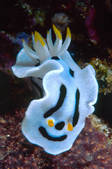 tkm001_885113