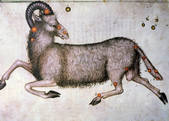 tkm001_934181