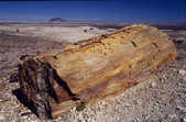 tkm003_180953