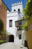 tkm003_182110
