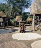 tkm003_183199