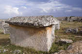 tkm003_185364