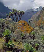 tkm003_186344