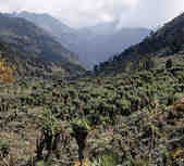 tkm003_186365