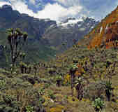 tkm003_186366