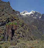 tkm003_186377