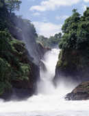 tkm003_186458