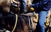 tkm003_187088