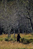 tkm003_187140