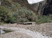 tkm003_188572