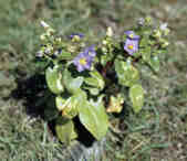 tkm003_188575
