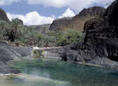 tkm003_188576