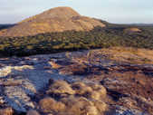 tkm003_189047