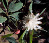 tkm003_189049