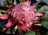 tkm003_189050