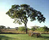 tkm003_189259