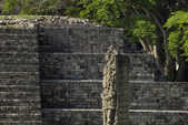 tkm003_190260