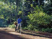 tkm003_190367