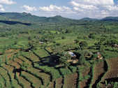 tkm003_190368