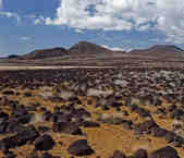 tkm003_190568