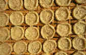 tkm003_190886
