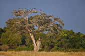 tkm003_190966