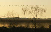 tkm003_191628