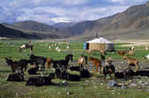 tkm003_193795
