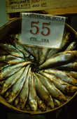 tkm003_196191