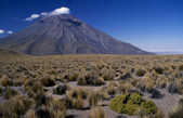 tkm003_197673