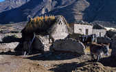 tkm003_197686