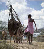 tkm003_198677